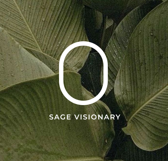 Editorial section frame.